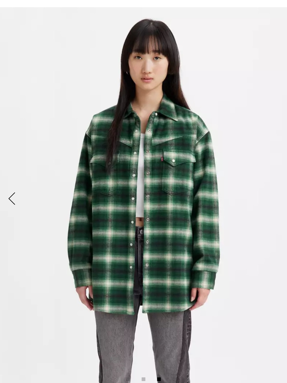 Levi’s • Dorsey XL Western shirt